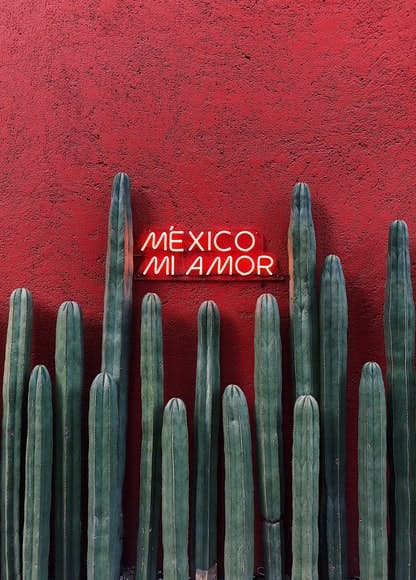 cactus y letrero de mexico mi amor