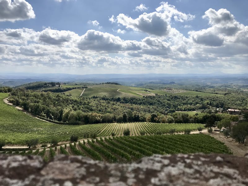 Chianti Vineyards in Tuscany, Italy